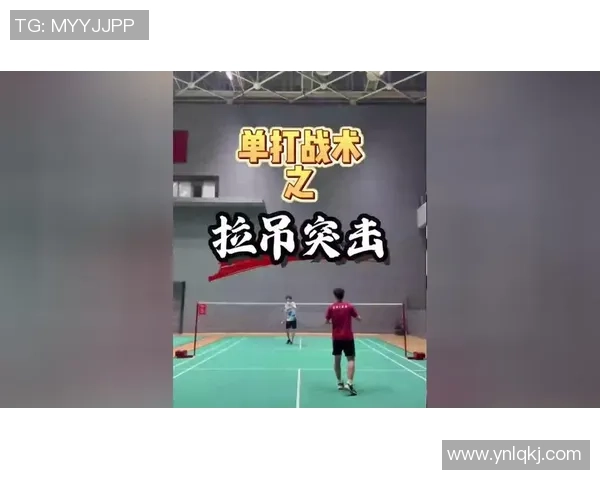 羽毛球巨献：探秘武汉羽毛球队的战术