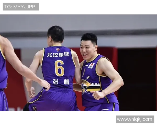 南京排球队耐力争议引发热议球迷与专家各抒己见探讨训练方法与比赛策略